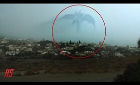 Top 5 Mysterious Gigantic Sea Monster Sightings - September 2018 | HollywoodScotty VFX