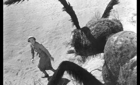 Those! The Ultimate Giant Monster Movie Mash (1930s to 1960s)