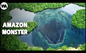 Why Does the Amazon River Create Monsters?